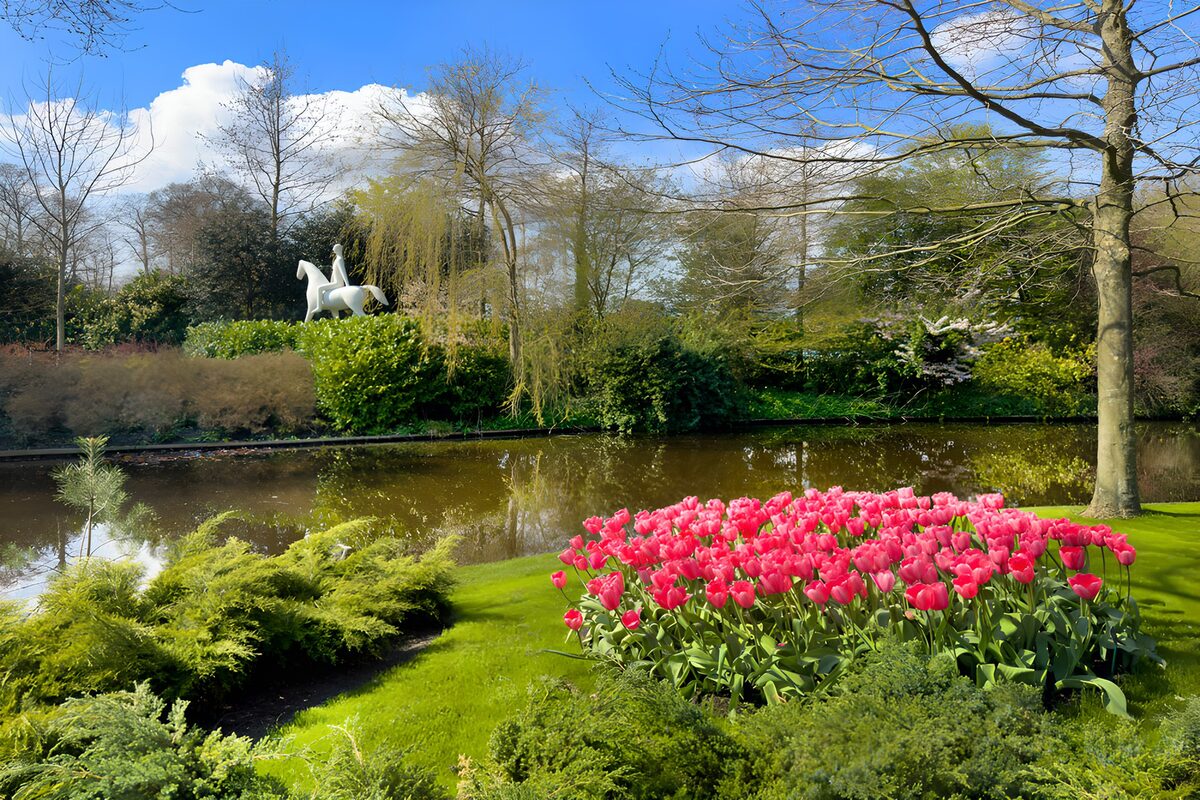 OCCOM8696205: Serene Garden with Tulips and Sculpture