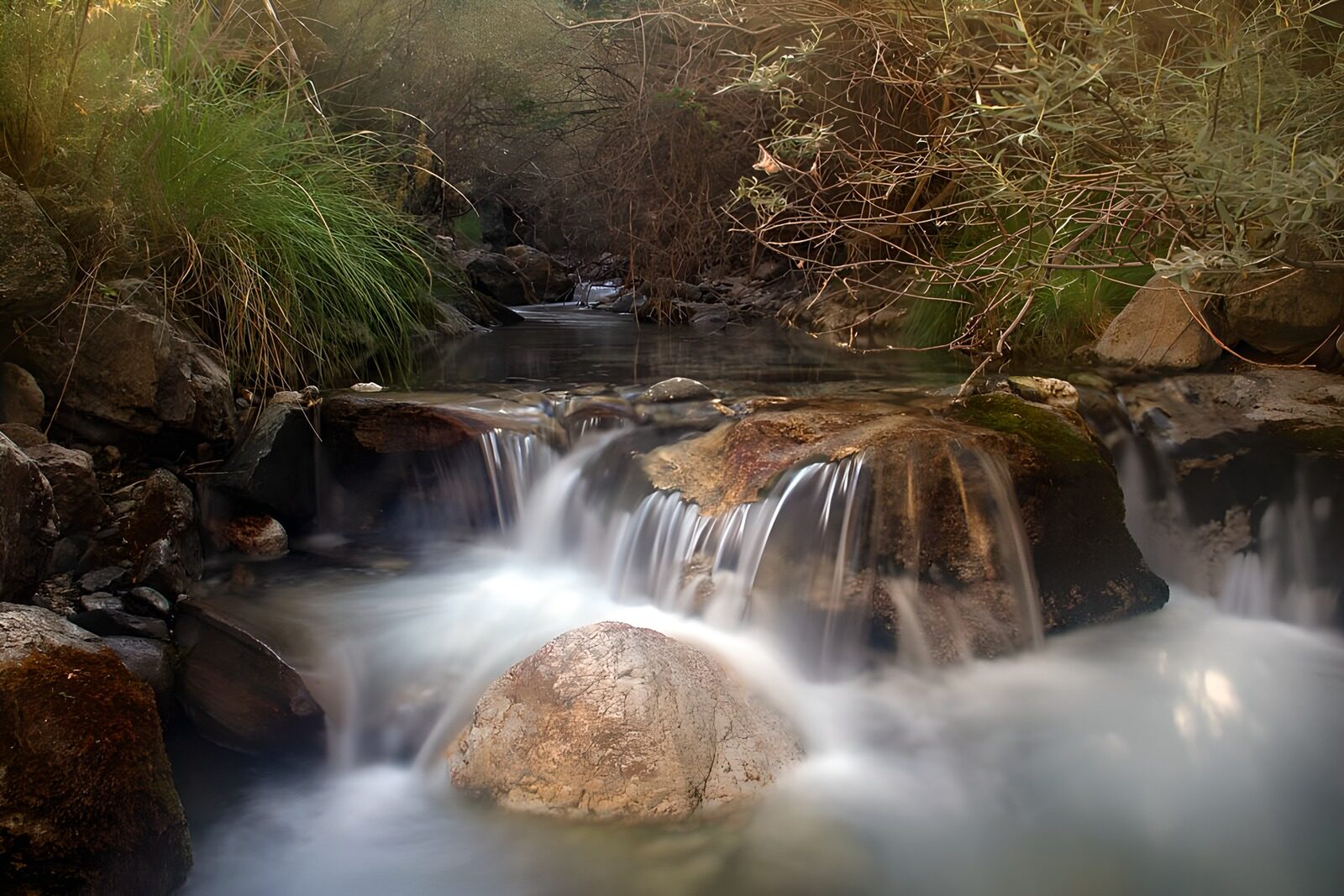 OCCOM1659649: Tranquil Stream Flowing Through Nature