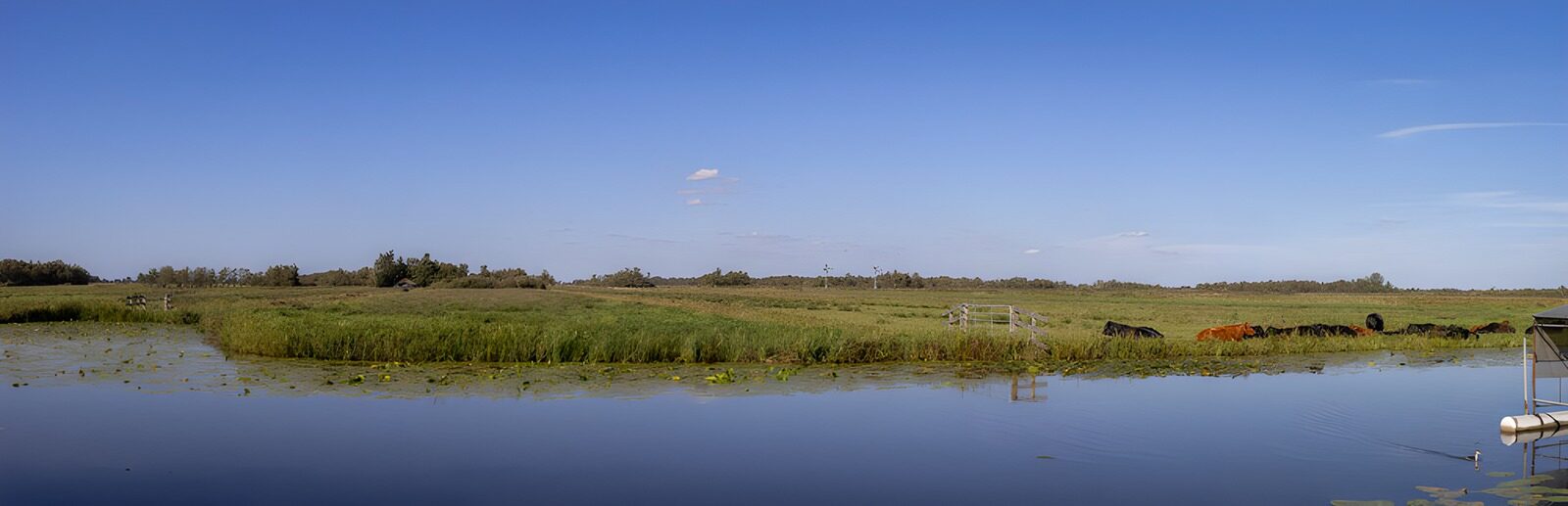 OCCOM6560920: Serene Pasture by the Water