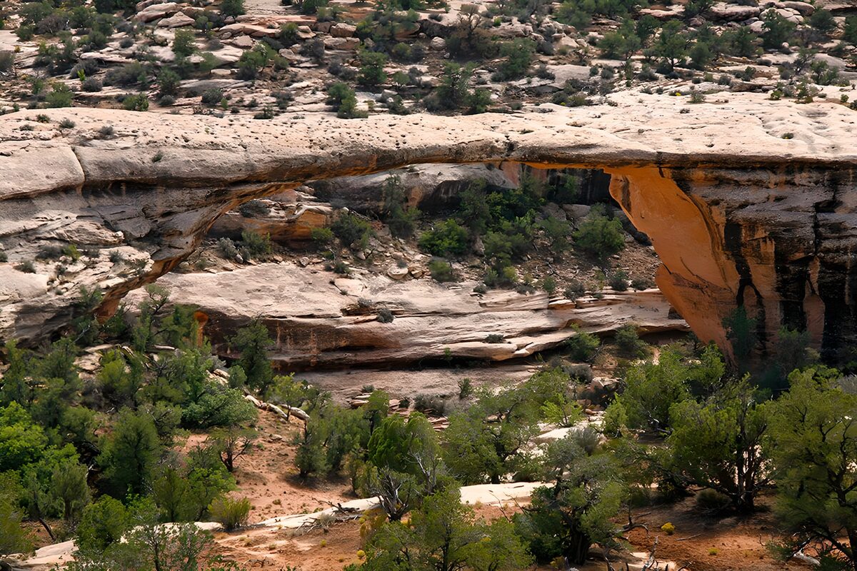 Nature's Majestic Rock Arch