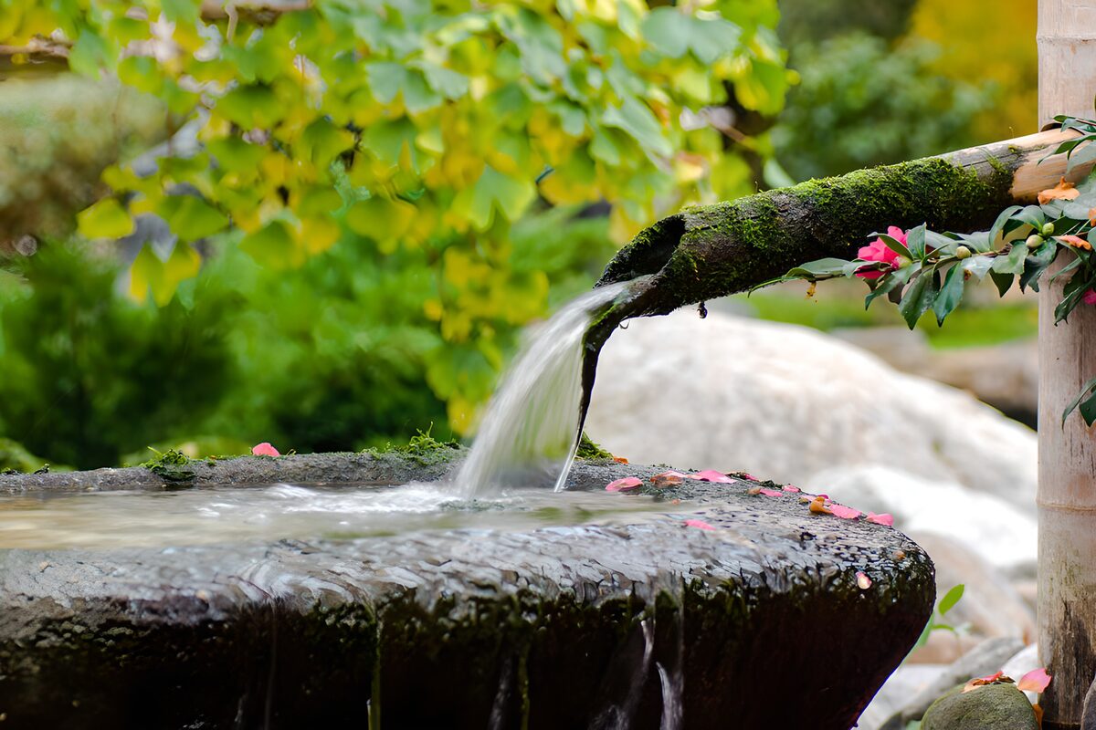 Tranquil Water Flow in a Garden Setting