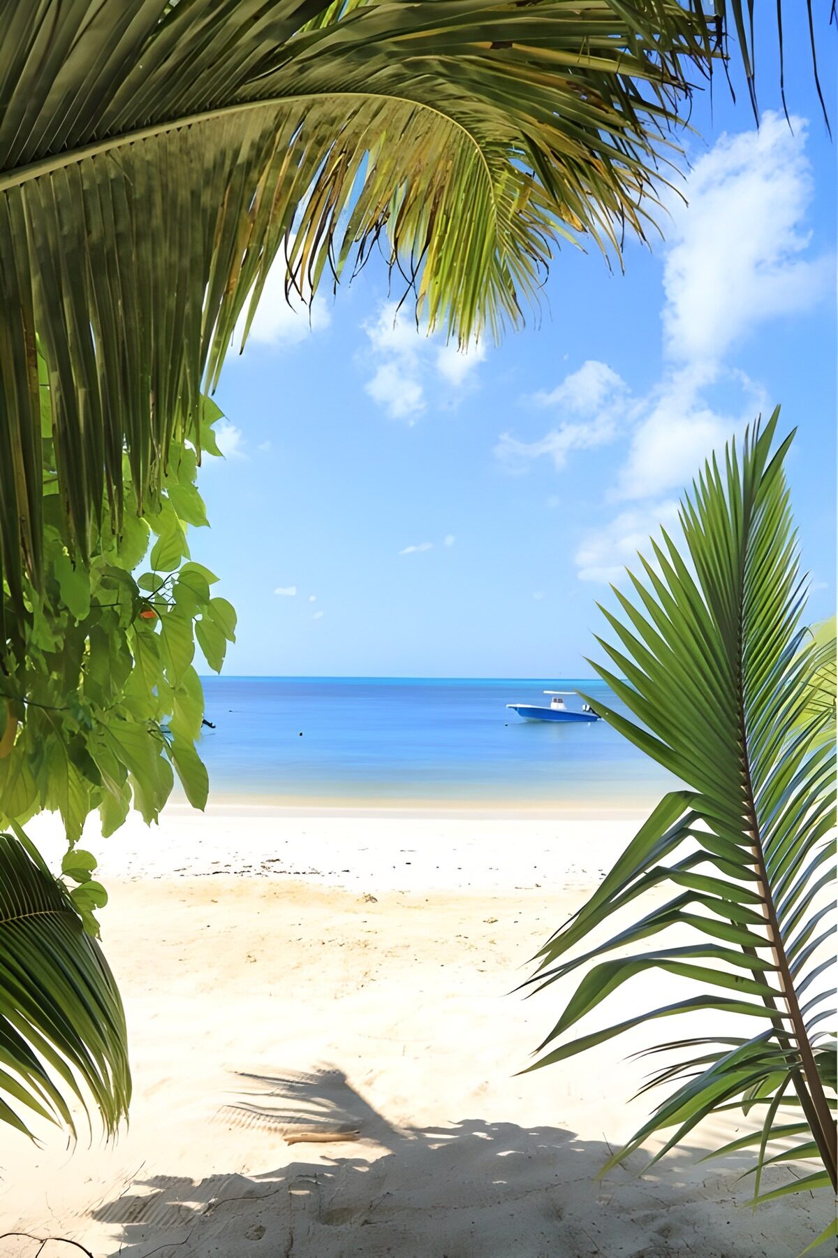 Serene Beachview Framed by Palm Leaves