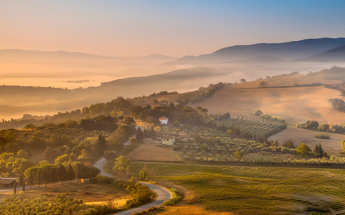 OCCOM1119239: Misty Morning in the Tuscan Countryside