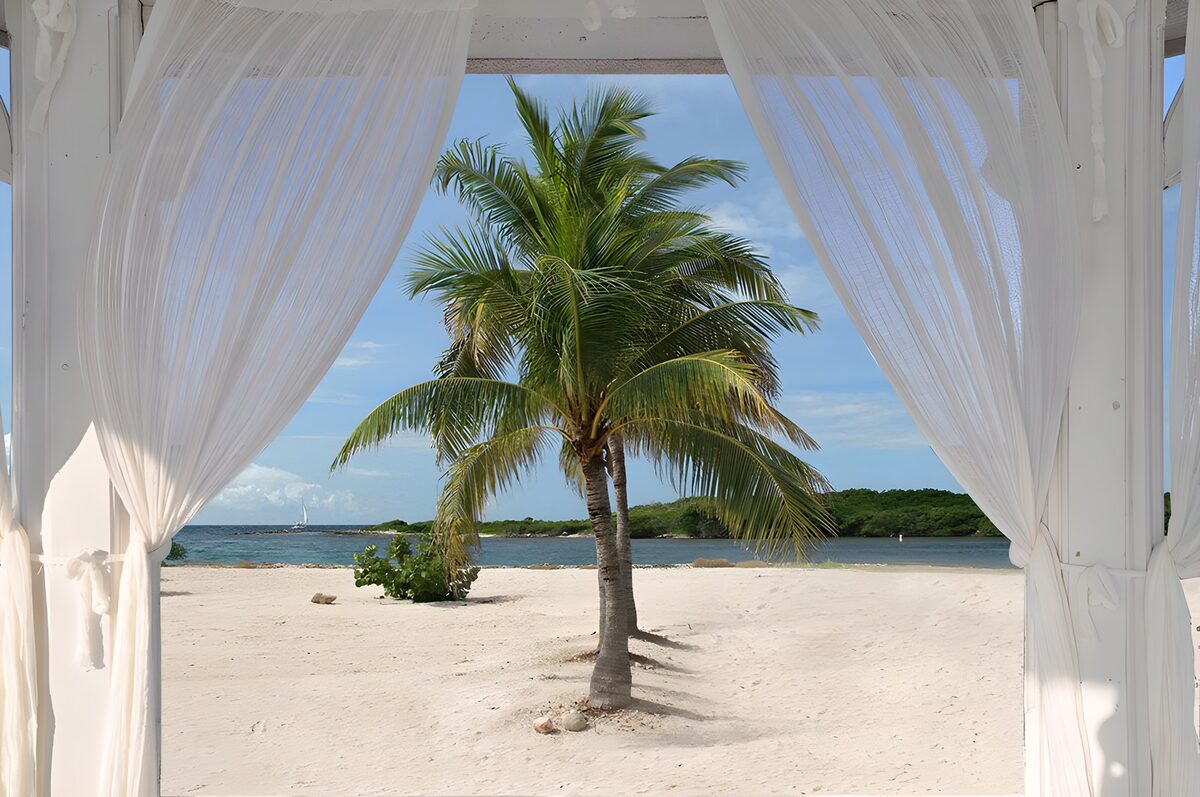OCCOM7573188: Tropical Paradise View
