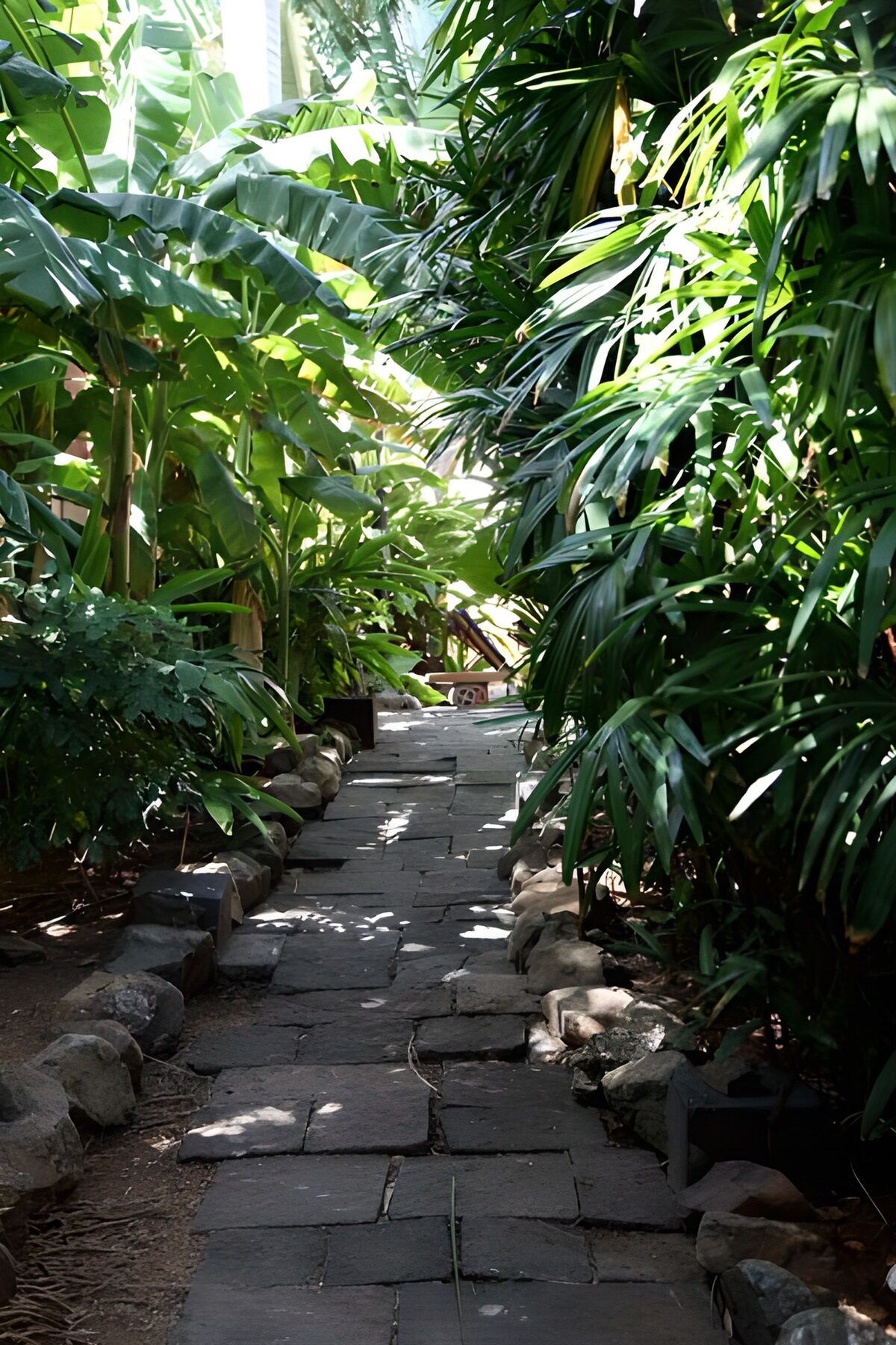 Serene Garden Pathway