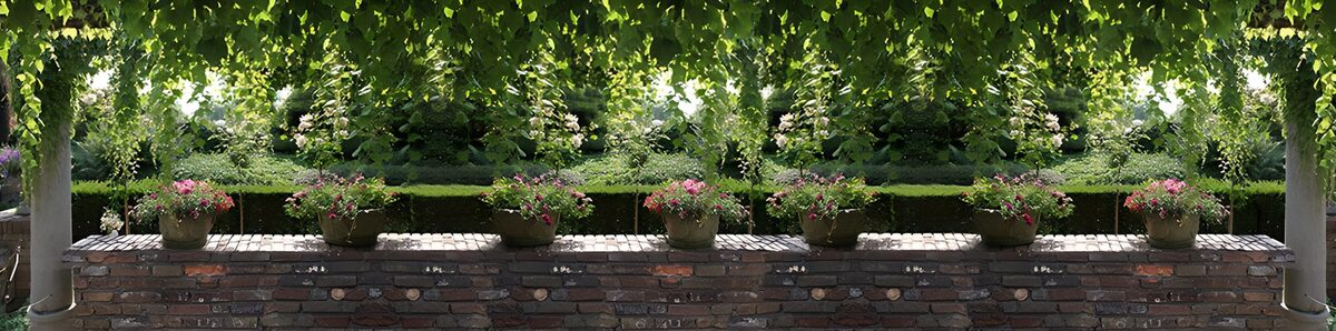 OCCOM1649807: Serene Garden with Flower Pots