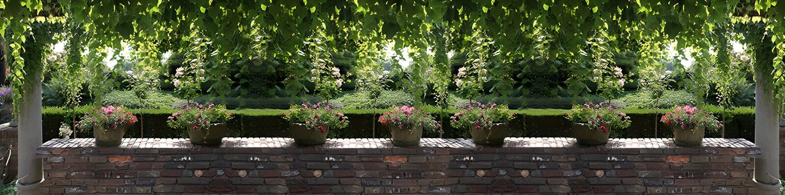 OCCOM1649807: Serene Garden with Flower Pots
