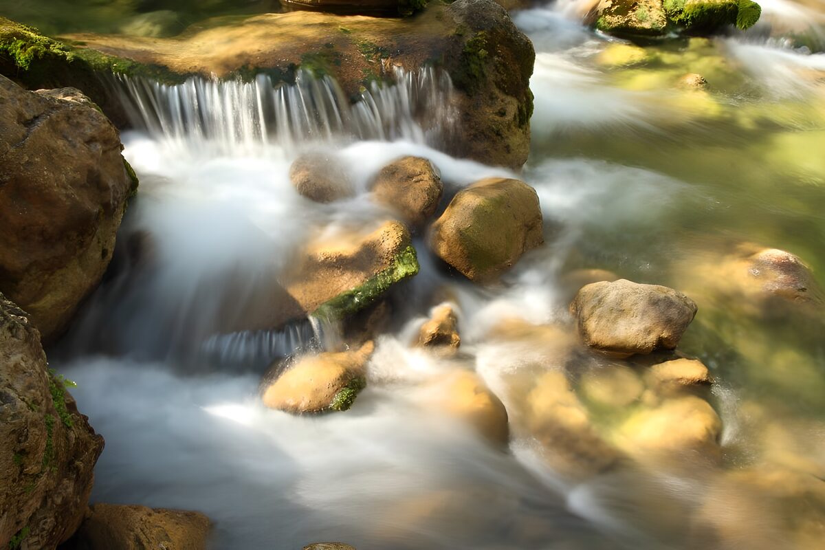 Serene Flow of Nature's Stream
