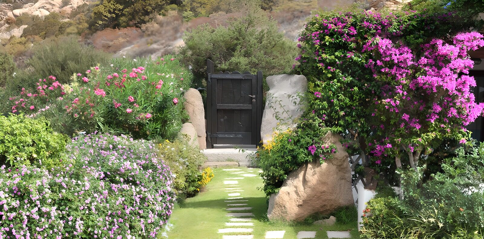 OCCOM2892427: Serene Garden Pathway