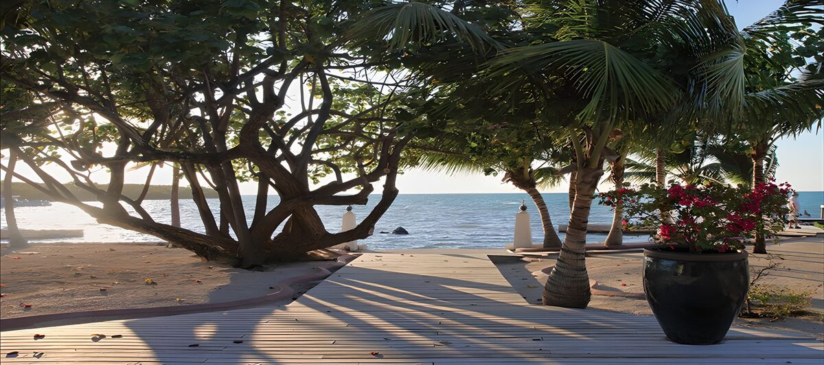 OCCOM5627903: Serene Coastal Pathway
