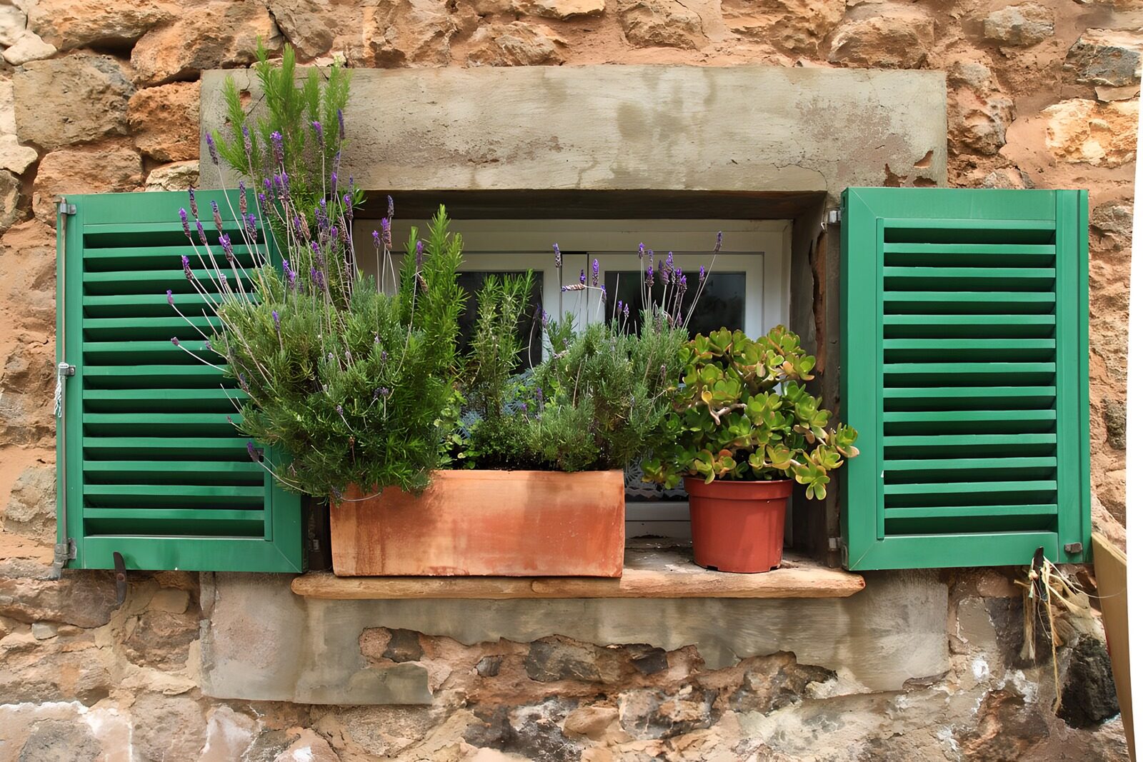 OCCOM2389049: Rustic Green Window with Flower Pots