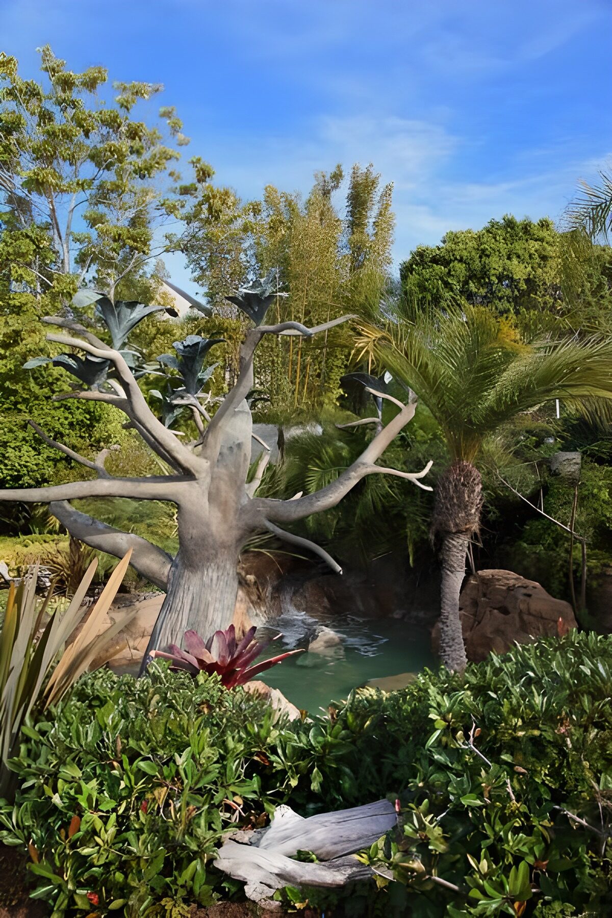 Serene Garden Oasis