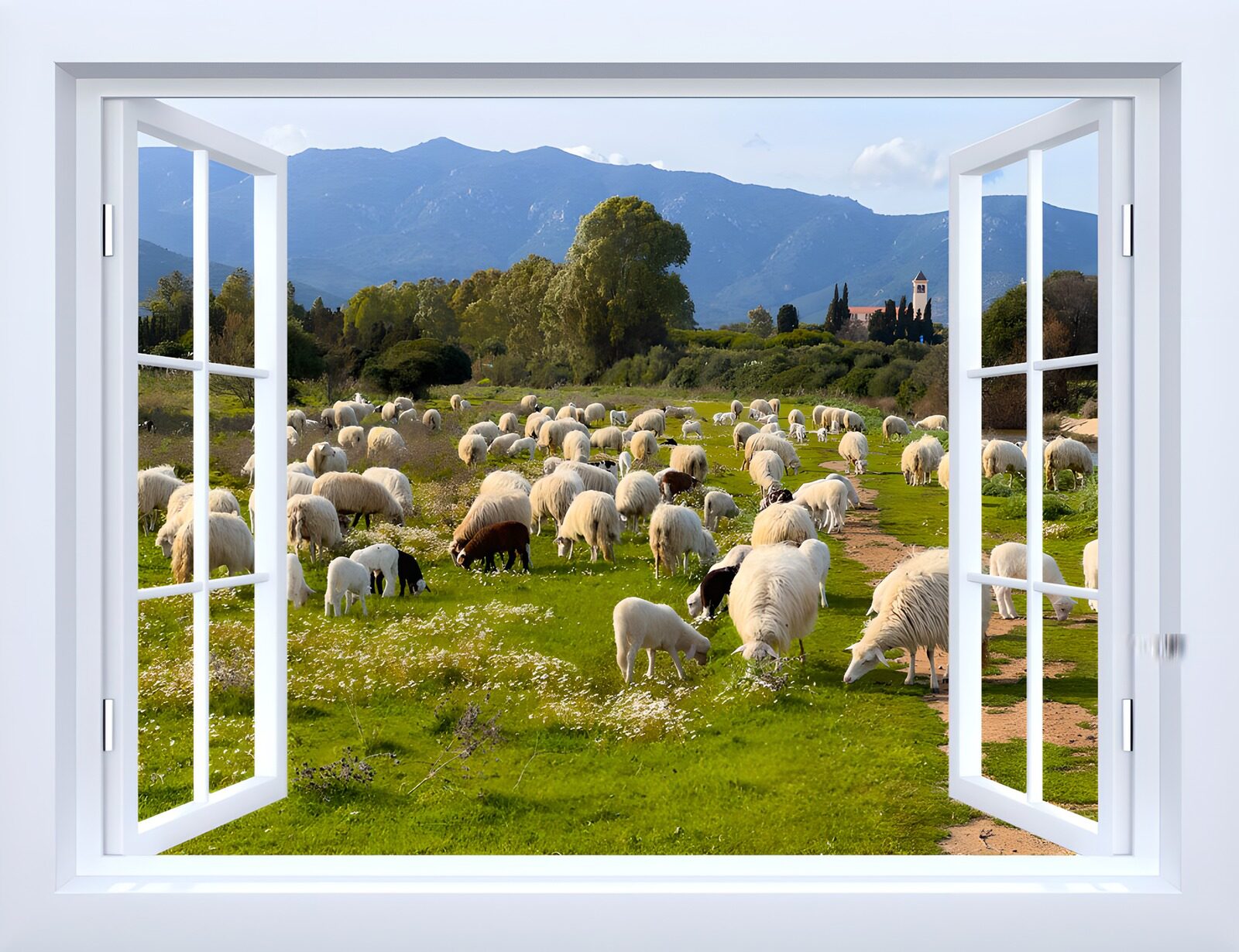OCCOM4518887: Scenic View of Grazing Sheep