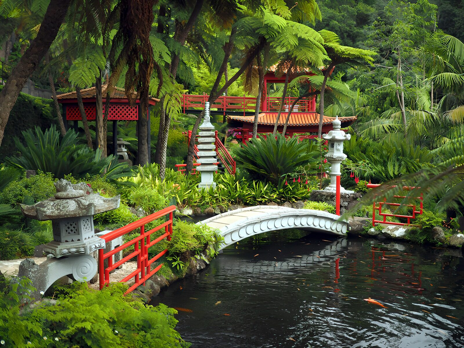 OCCOM6955114: Serene Asian Garden Retreat