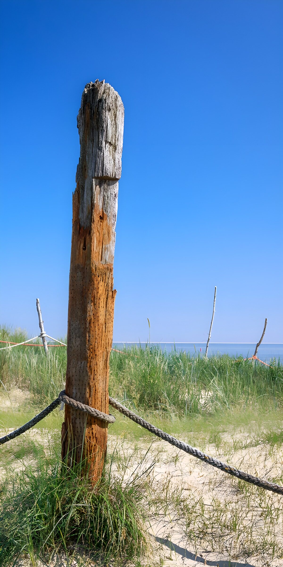 OCCOM7952527: Weathered Post by the Shore