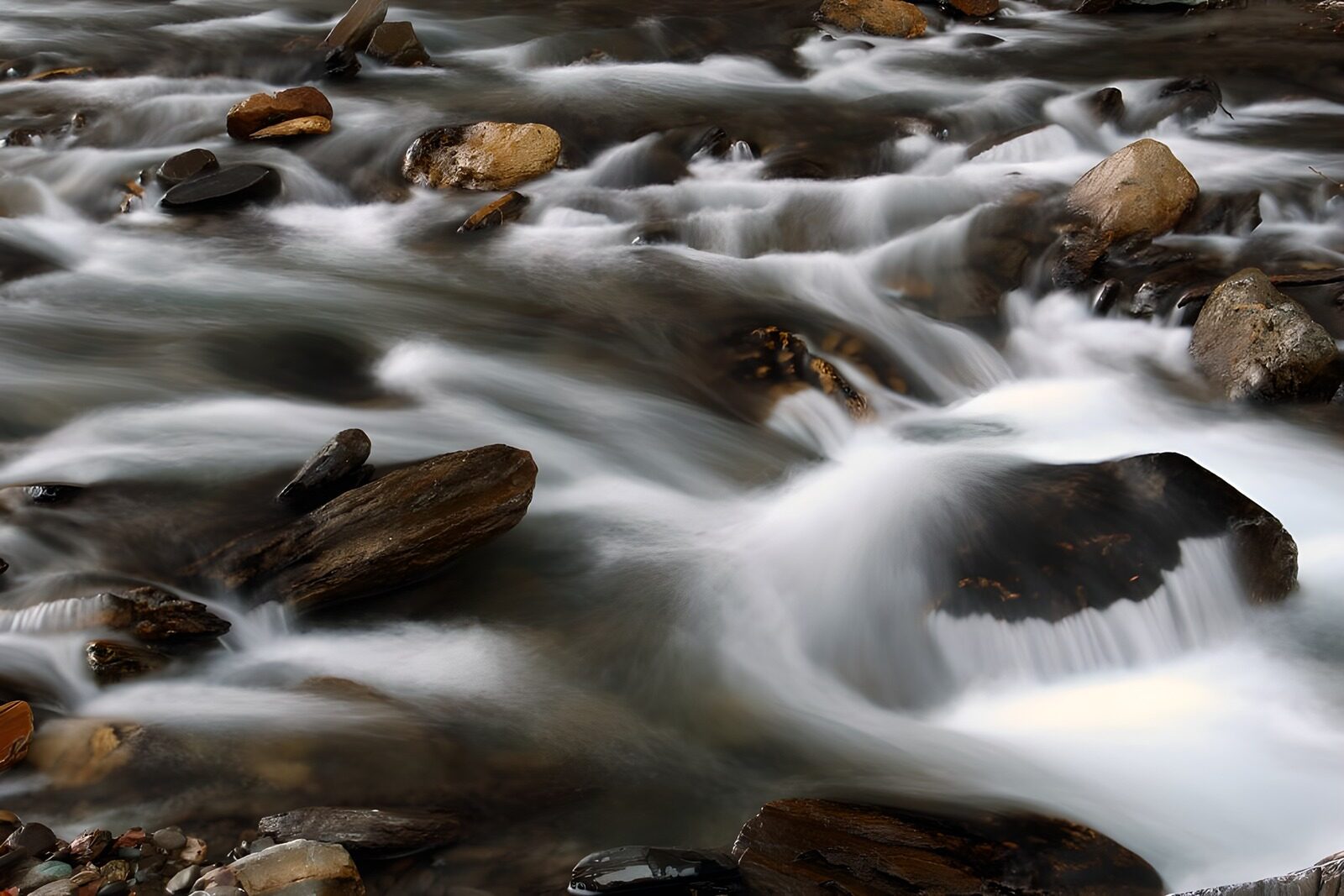 OCCOM5017624: Serene River Flowing Over Stones
