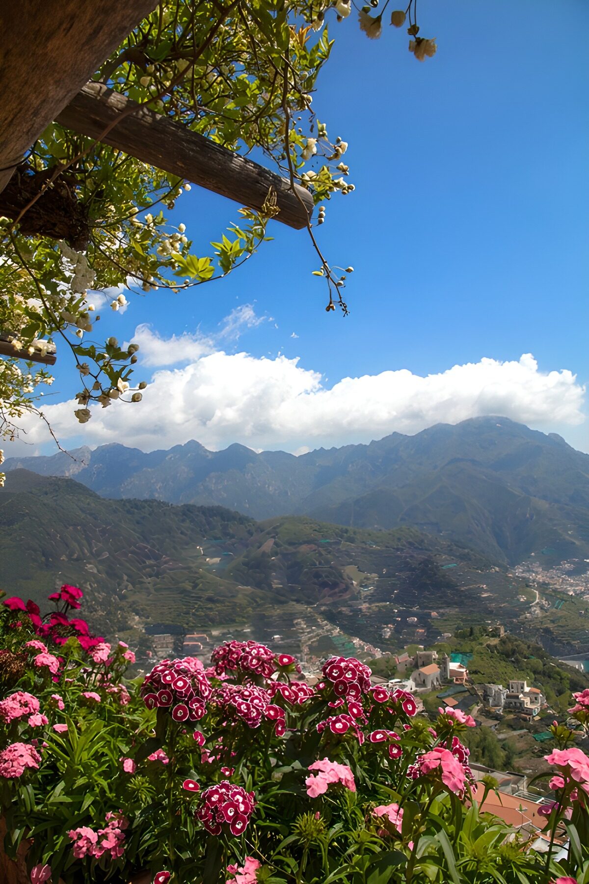Scenic Mountain View with Vibrant Flowers