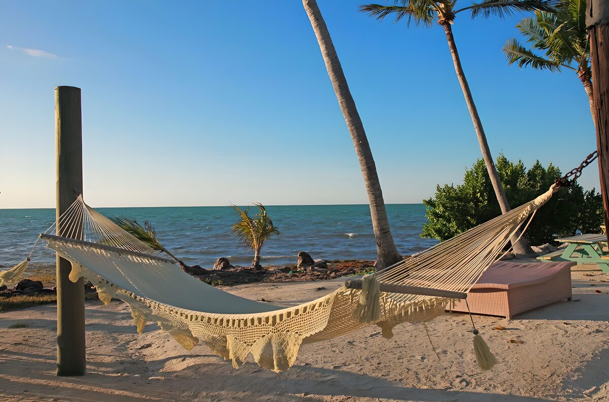 Serene Hammock by the Ocean
