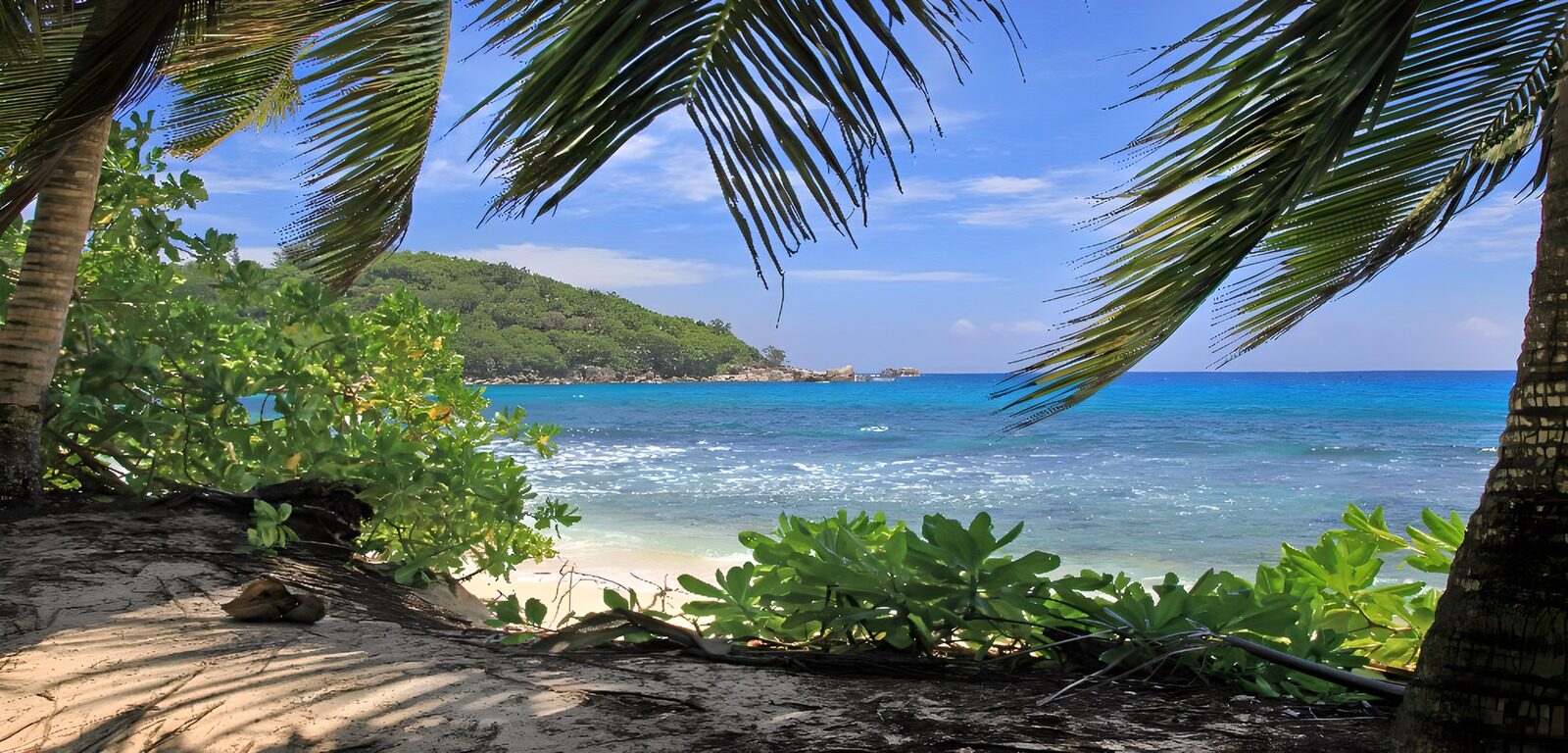 OCCOM7375018: Tropical Beach Escape