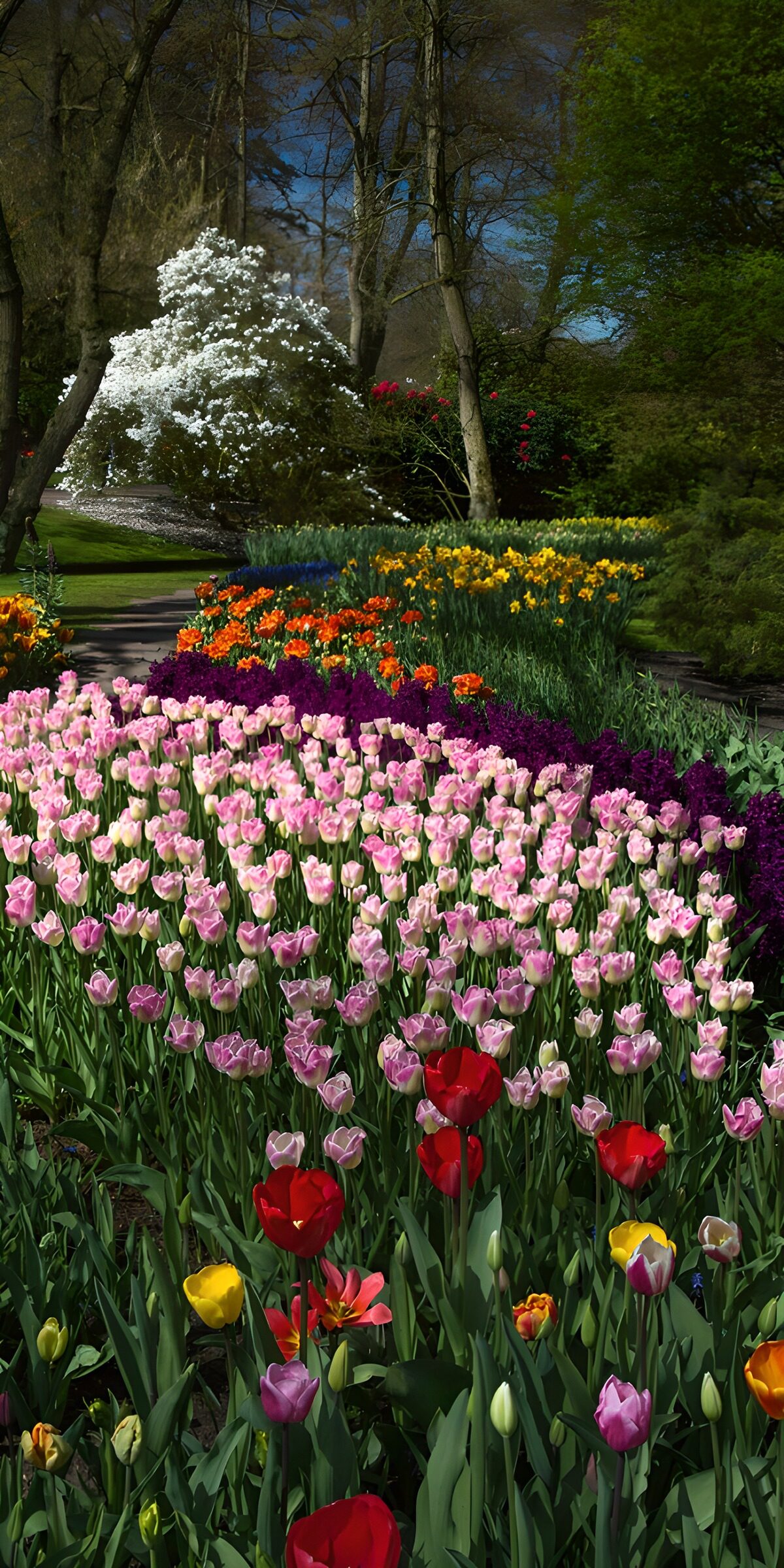 OCCOM4255740: Vibrant Spring Flower Garden