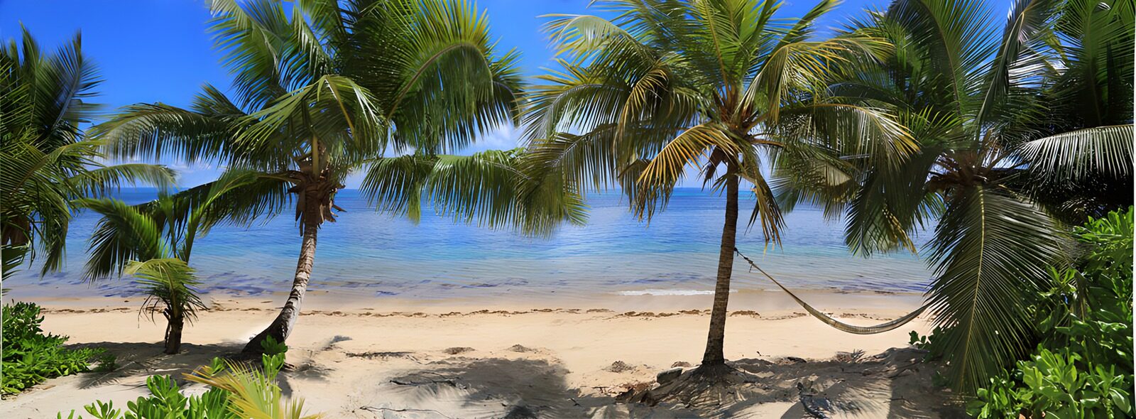 OCCOM1869634: Serene Tropical Beach Escape