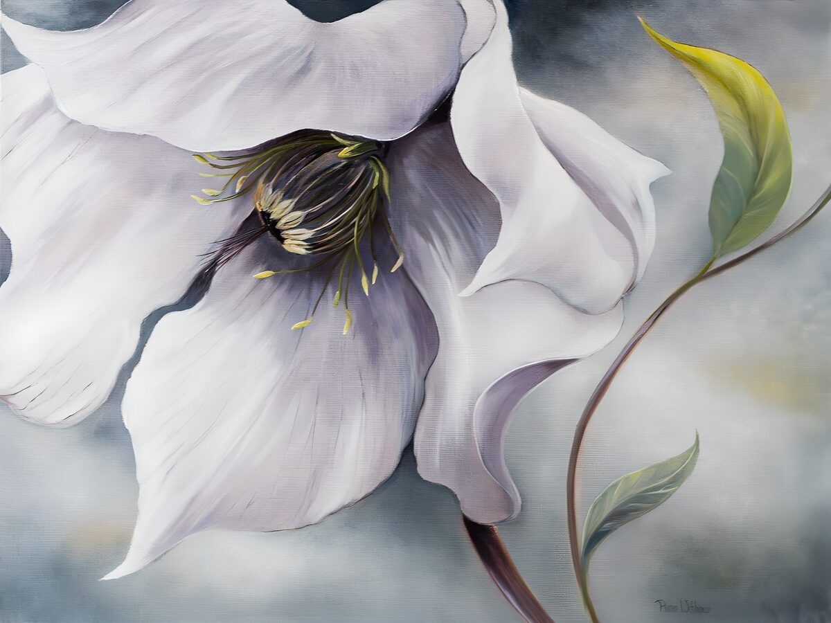 OCCOM3183196: Elegant White Flower in Soft Hues