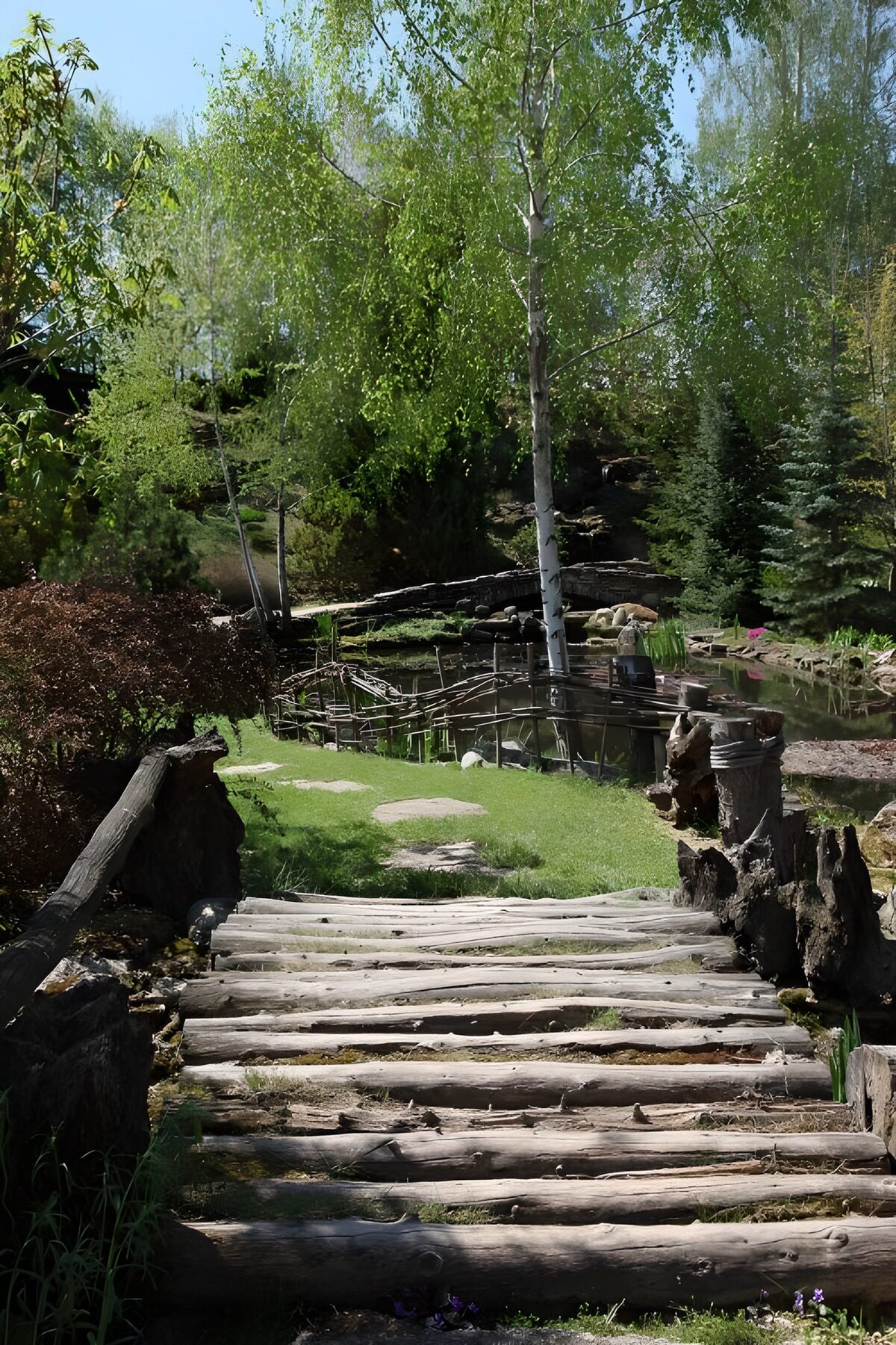 Serene Woodland Pathway