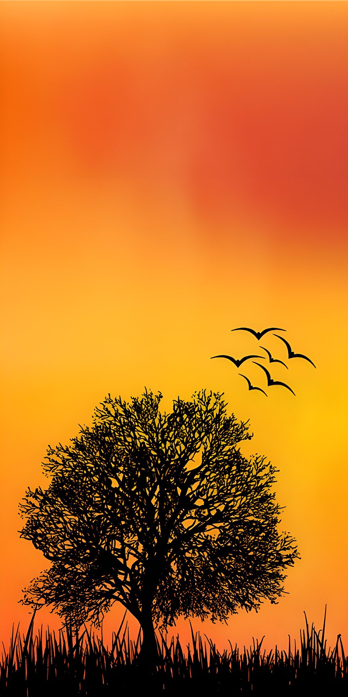 OCCOM8981403: Silhouetted Tree at Sunset