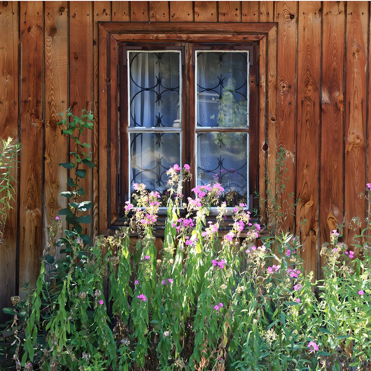 Rustic Window Surrounded by Wildflowers