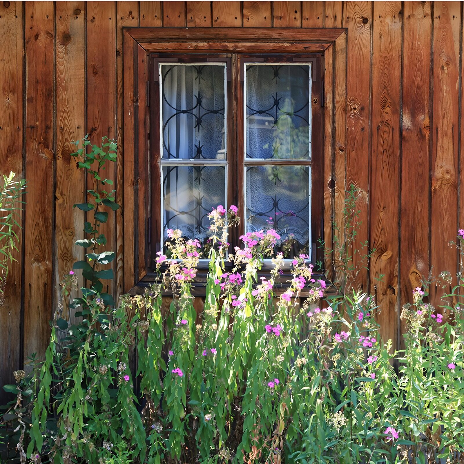 OCCOM7377827: Rustic Window Surrounded by Wildflowers