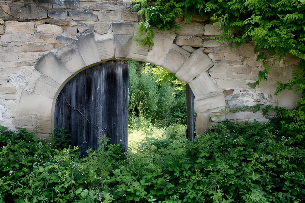 Overgrown Stone Archway