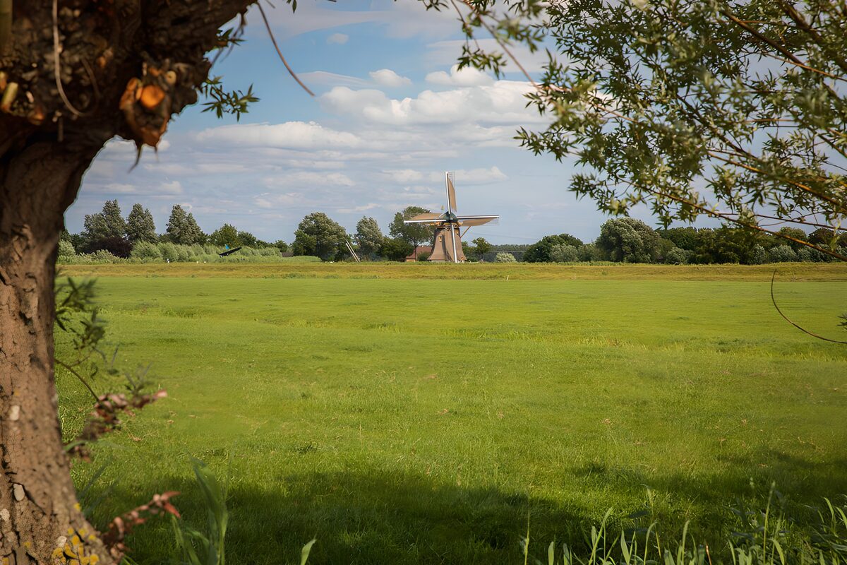 OCCOM4042225: Tranquil Dutch Windmill Landscape