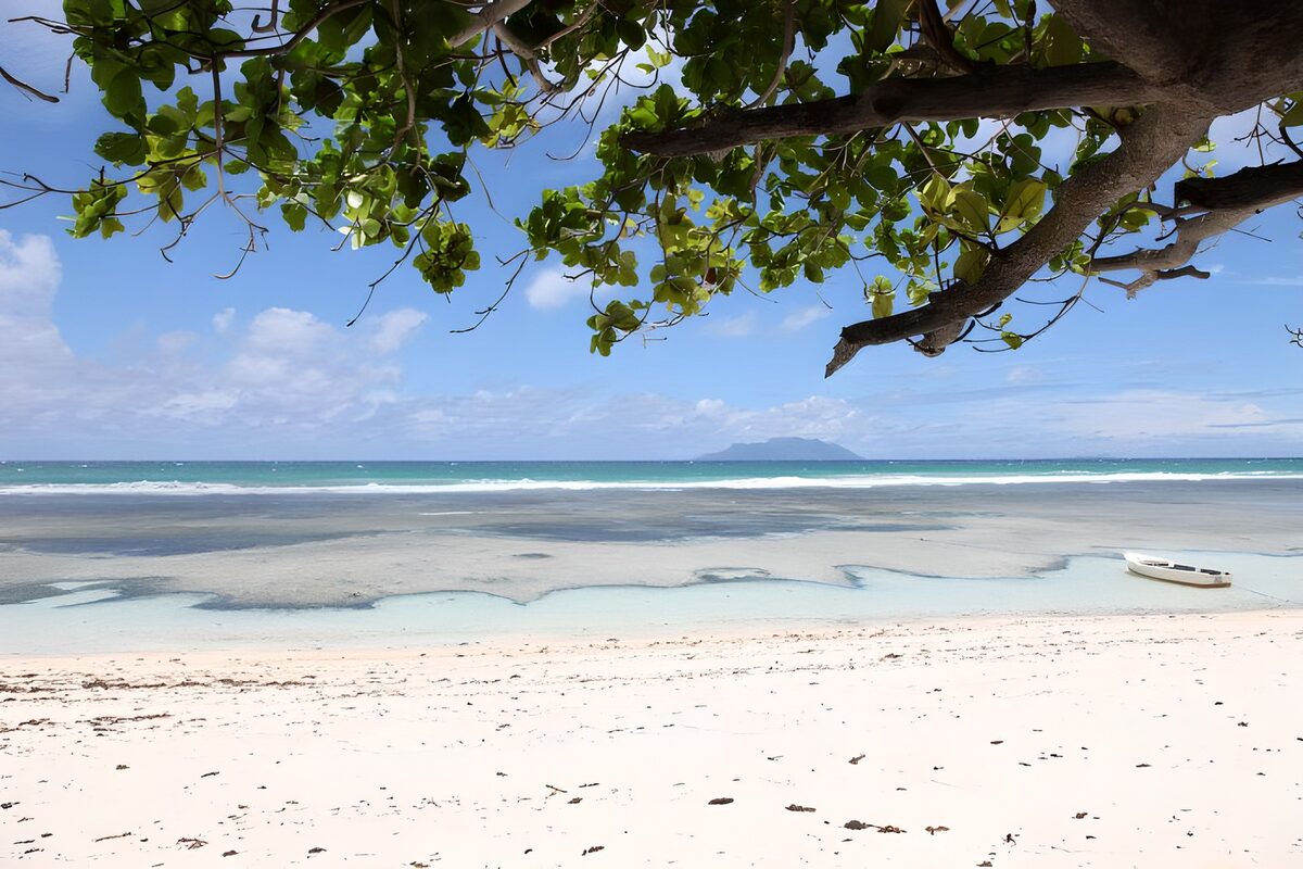 OCCOM5540612: Tranquil Shoreline Paradise