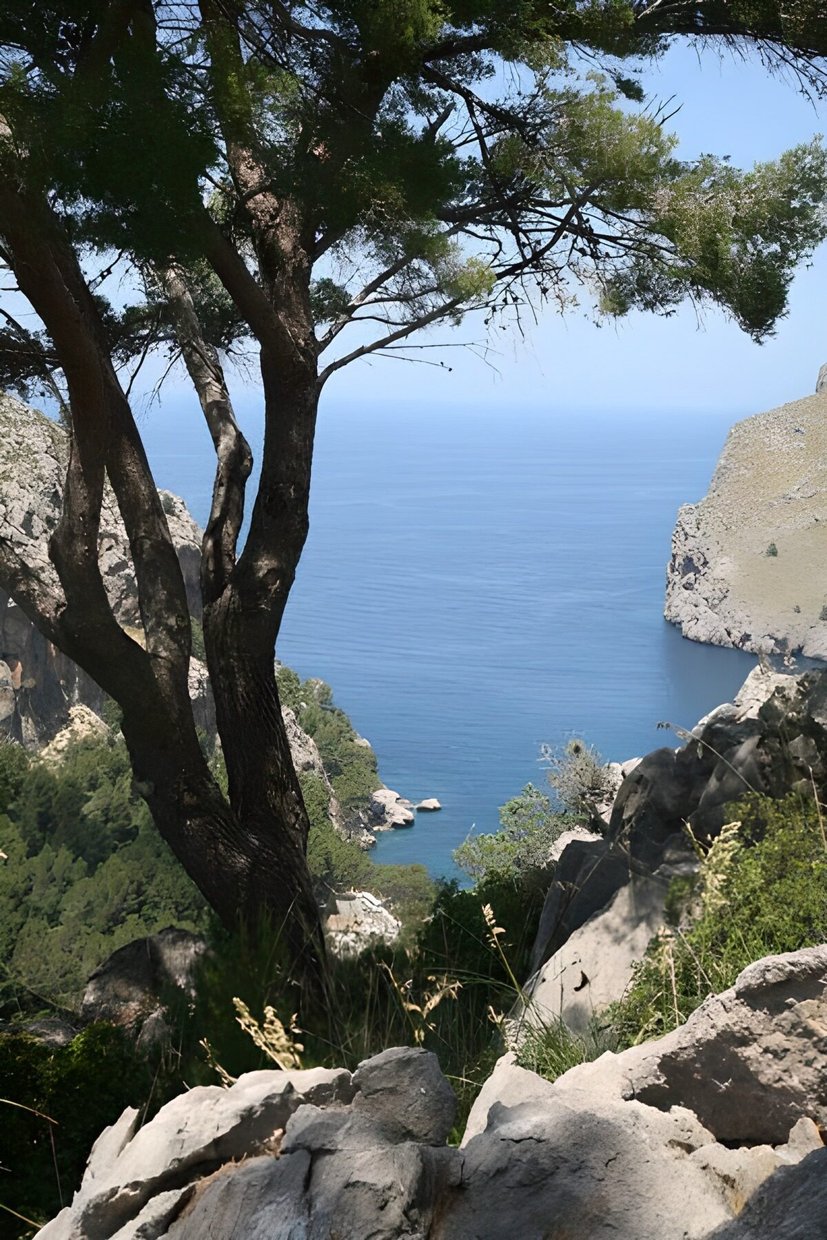 OCCOM4007725: Serene Coastal View