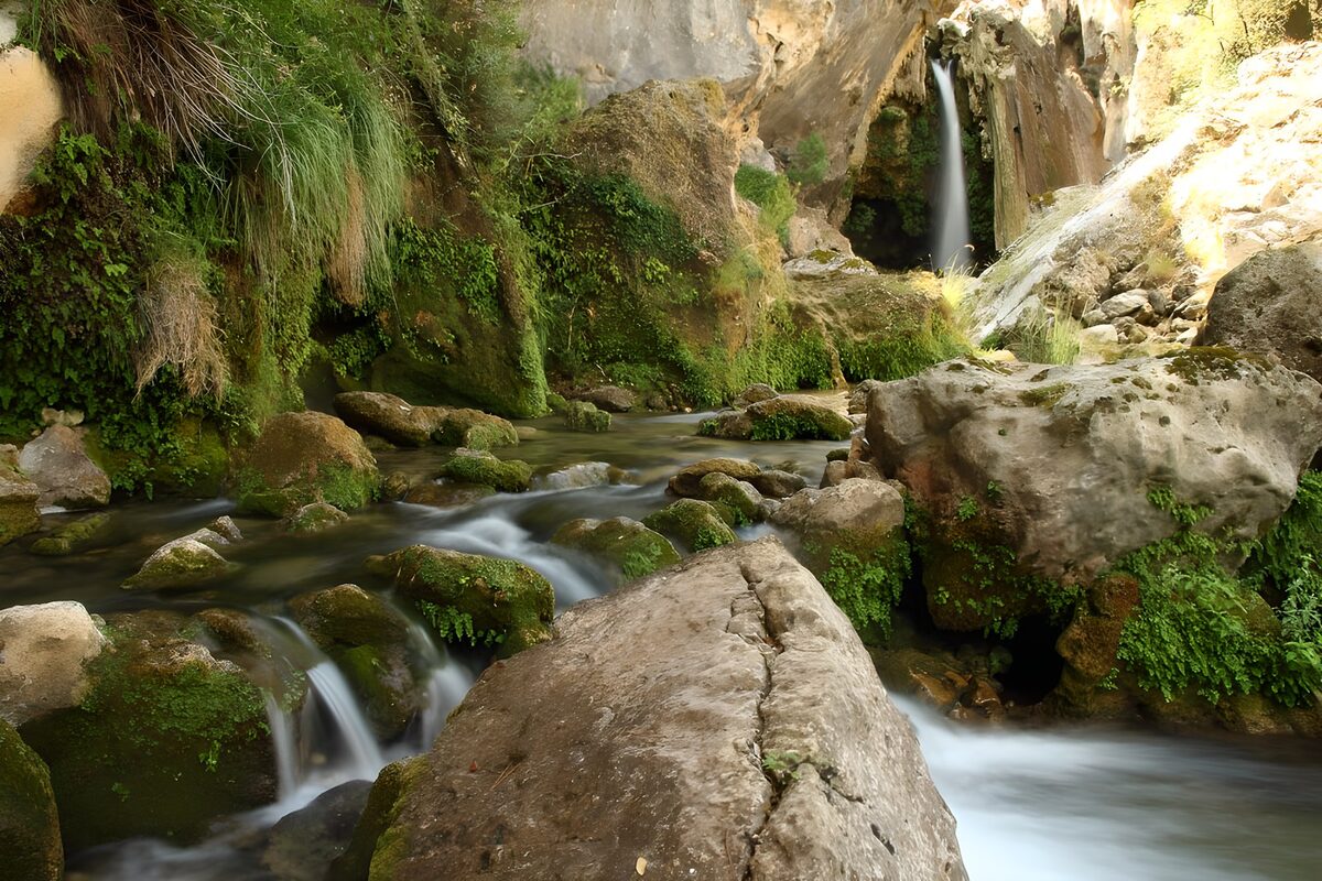 Tranquil Waterfalls and Serene Streams