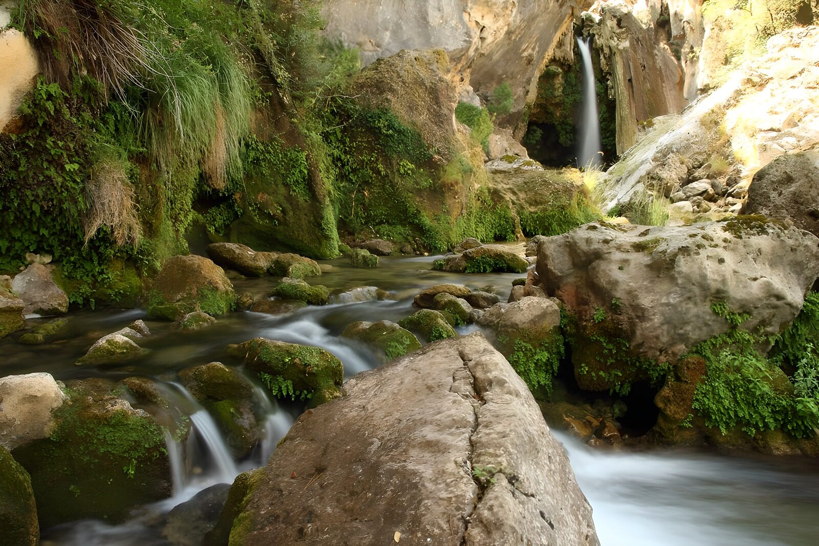 OCCOM6444309: Tranquil Waterfalls and Serene Streams