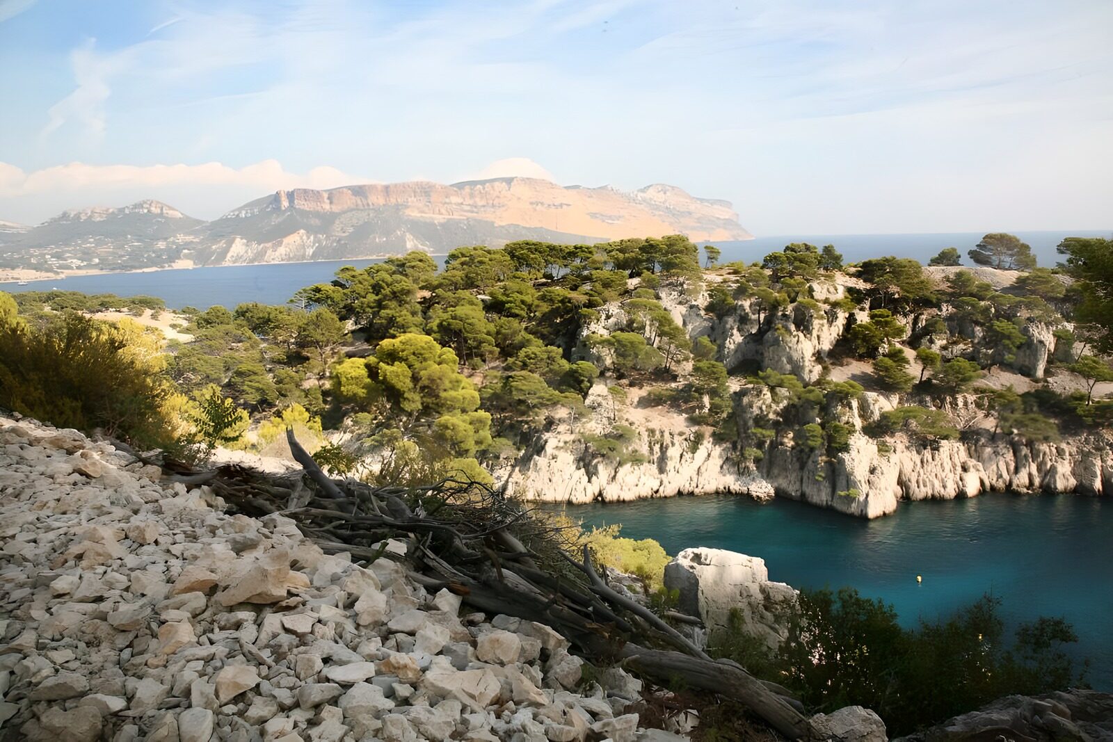OCCOM1921288: Serene Coastal Landscape in Nature