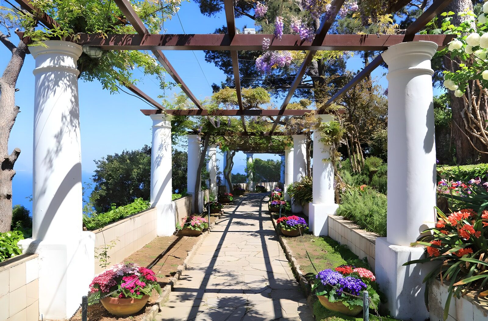 OCCOM5111935: Tranquil Garden Pathway in Bloom