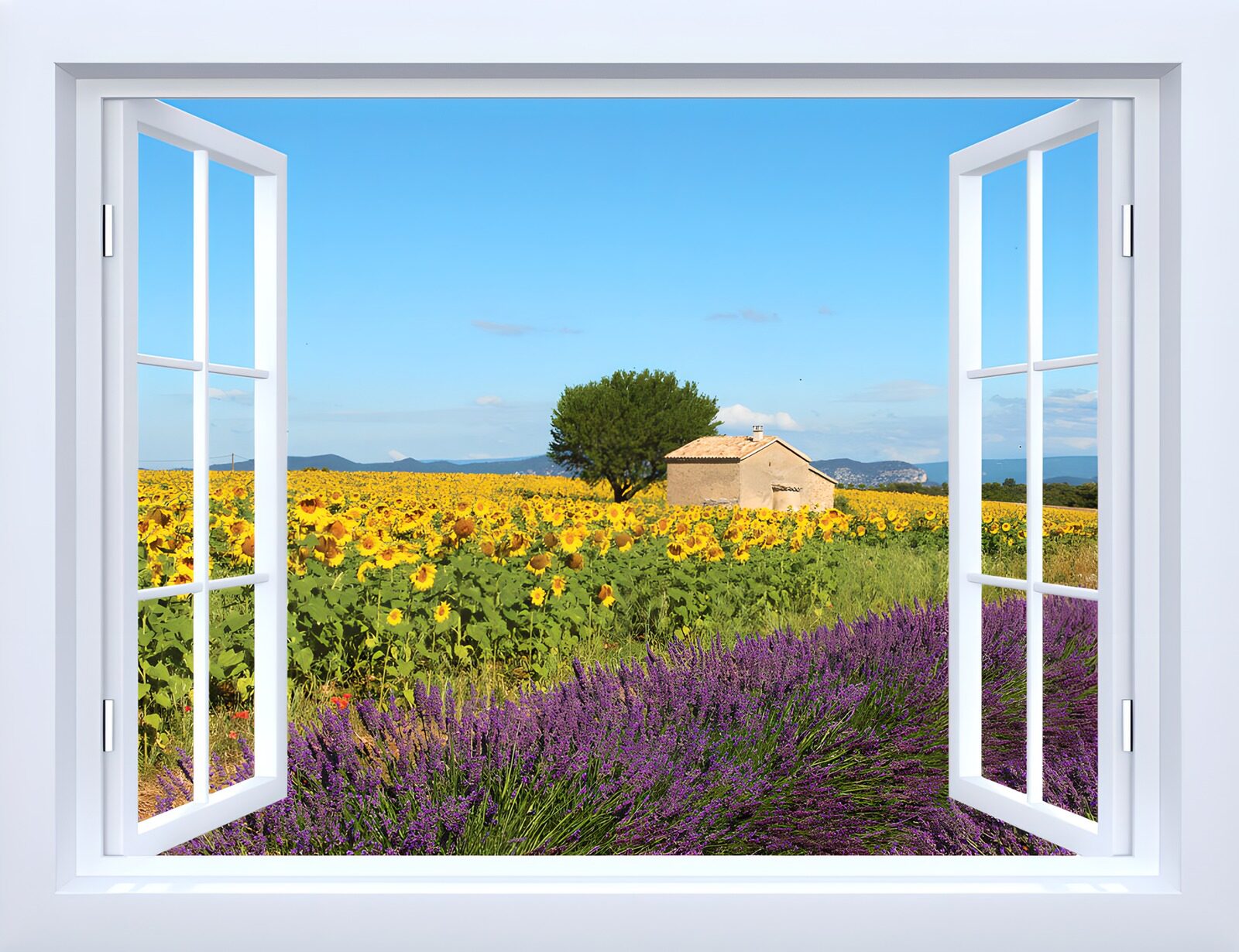 OCCOM8879761: Window to a Scenic Flower Field