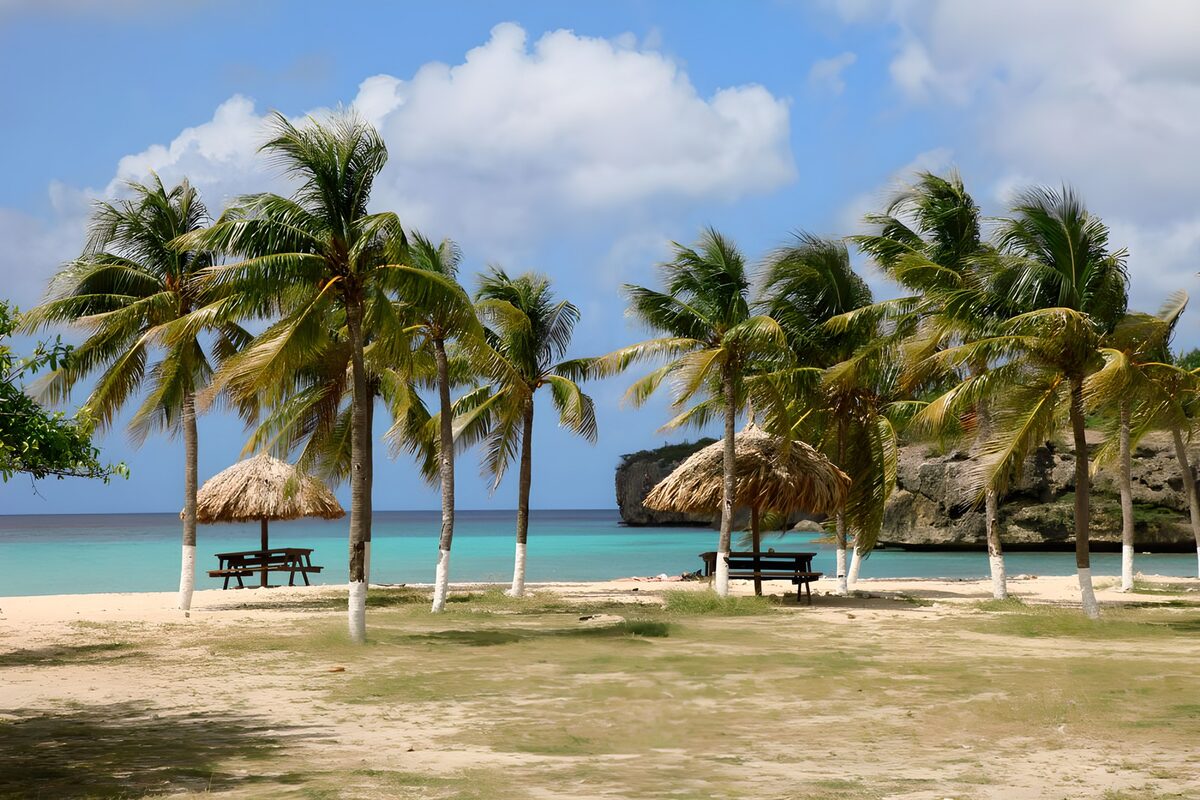OCCOM8030567: Tropical Beach Paradise