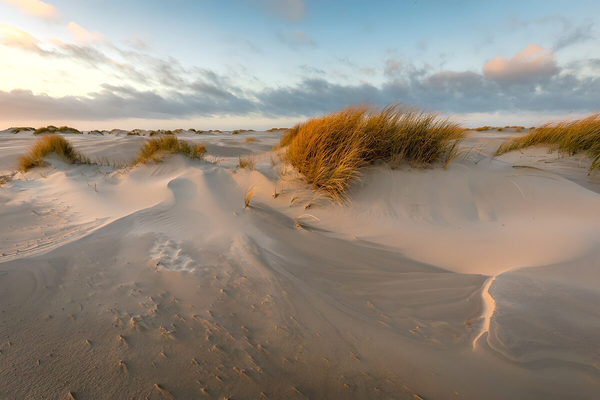 Serene Dunes at Sunset