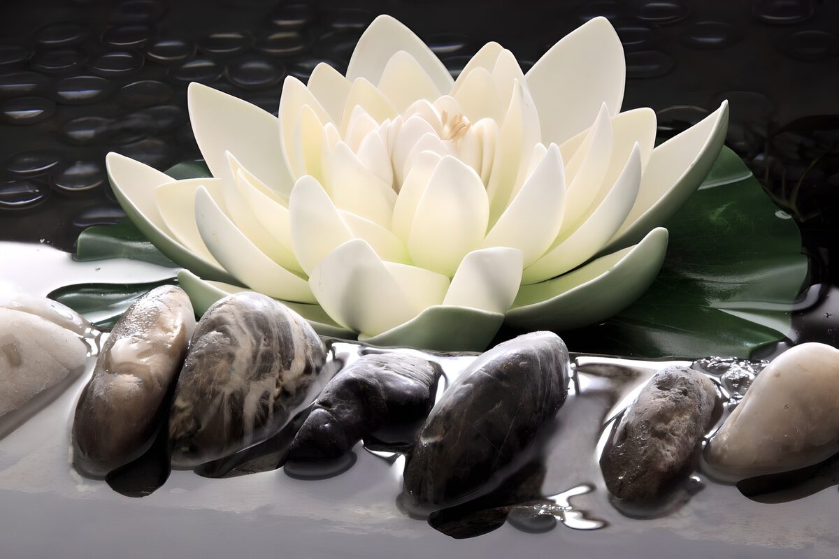 Tranquil Lotus Blossom on Water