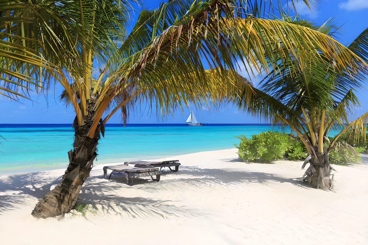 Tropical Beach Paradise