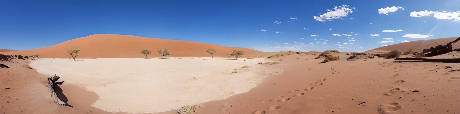 OCCOM6558865: Serenity in the Desert Landscape