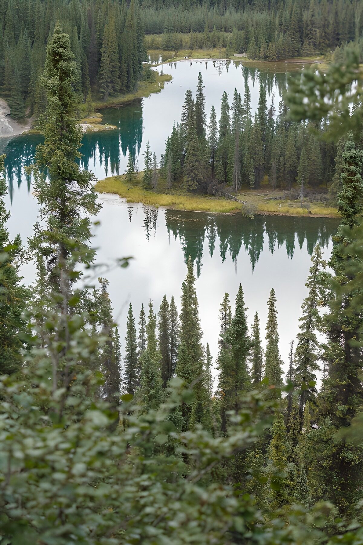 OCCOM5380566: Tranquil Reflection in Nature