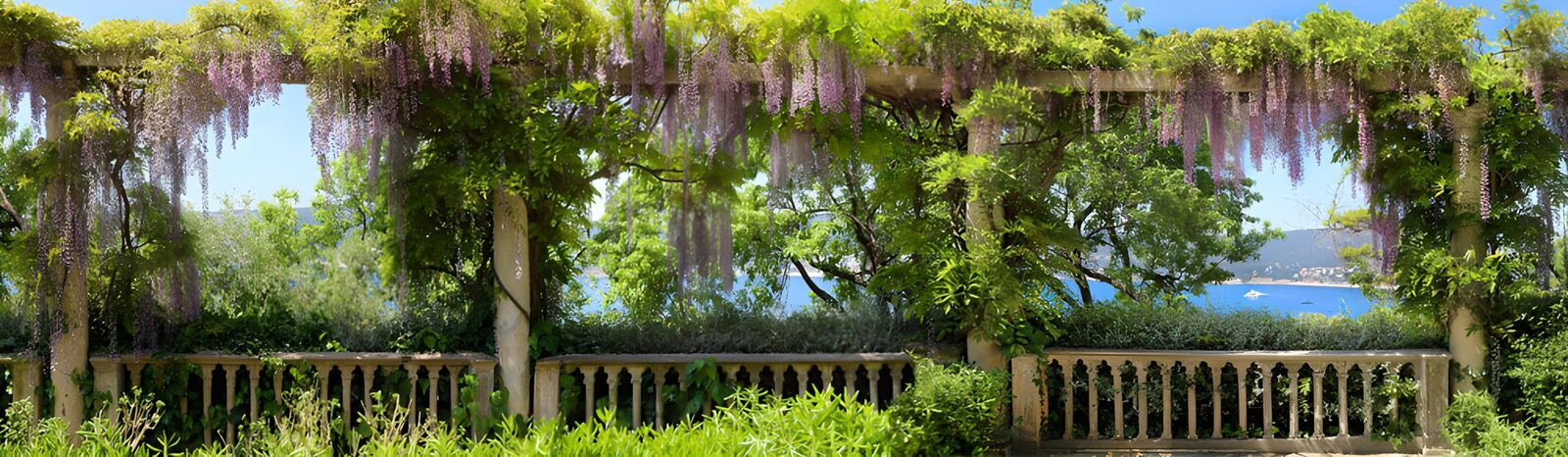 OCCOM7496199: Serene Wisteria Garden Overlooking the Sea