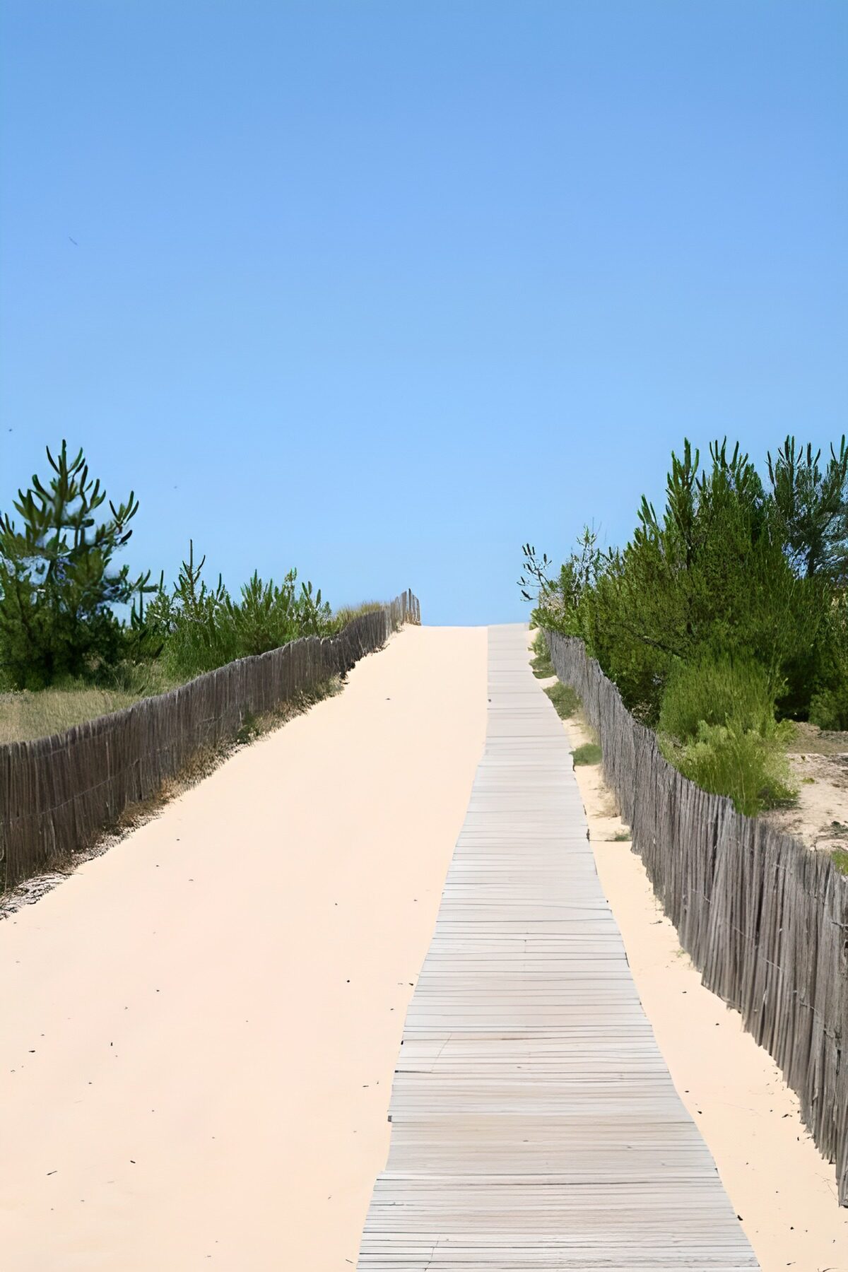 OCCOM3517152: Pathway to the Dune