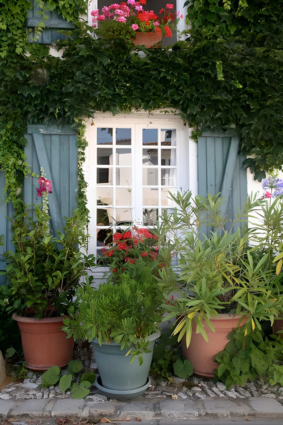 Lush Greenery by the Window