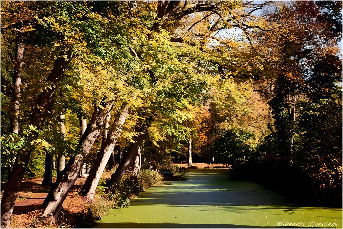 Tranquil Autumn Reflection