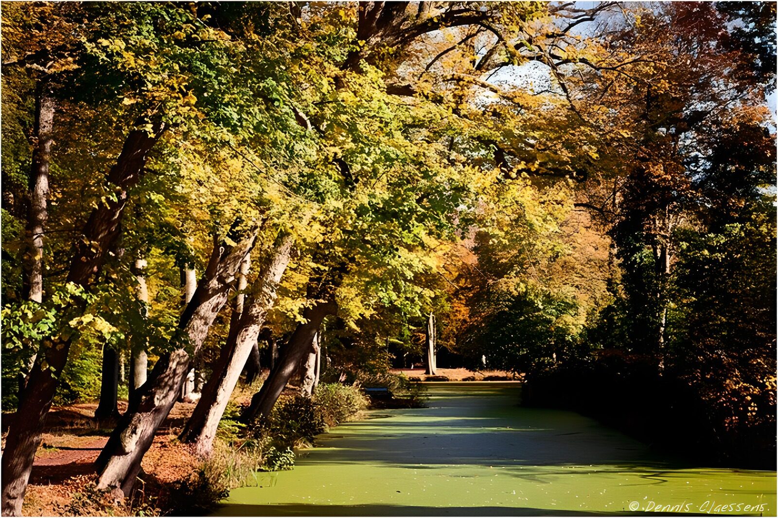OCCOM9199848: Tranquil Autumn Reflection